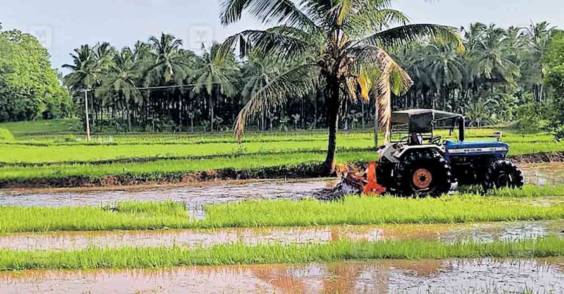 ചിറ്റൂർ മേഖലയിൽ മഴ വ്യാപകമായതോടെ ഒന്നാംവിളയ്ക്കായി കൃഷിയിടം ഉഴുതുമറിക്കുന്നു.  