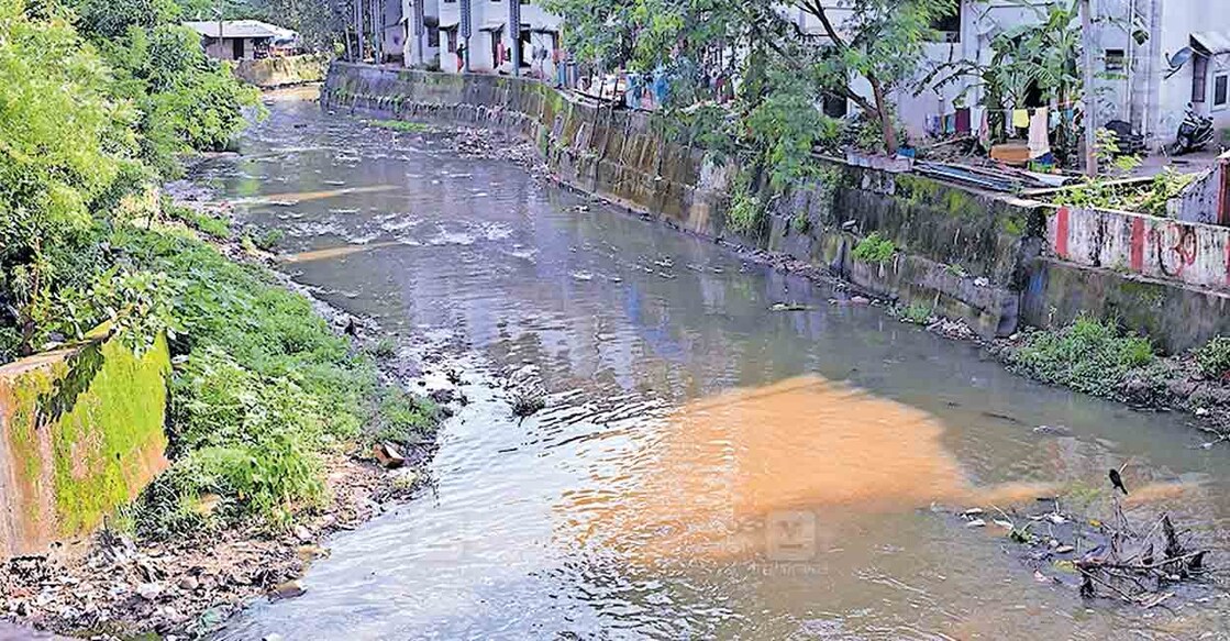 പാലക്കാട് നഗരത്തിലെ ശംഖുവാരത്തോട്. ഇതിലെ മലിനജലം കൽപാത്തി പുഴയിലേക്കും അതുവഴി ഭാരതപ്പുഴയിലേക്കുമാണ് എത്തുന്നത്. ചിത്രം: മനോരമ