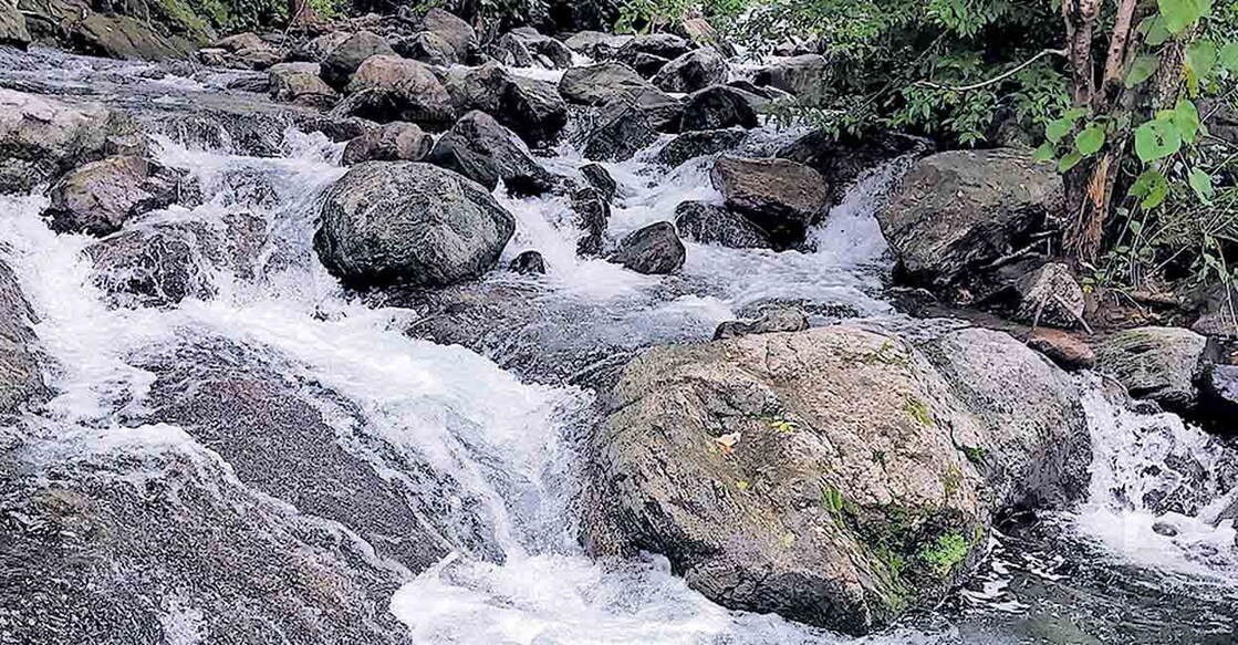 palakkad-water-fall തത്തേങ്ങലത്തെ കാട്ടരുവികളിലൊന്ന്.