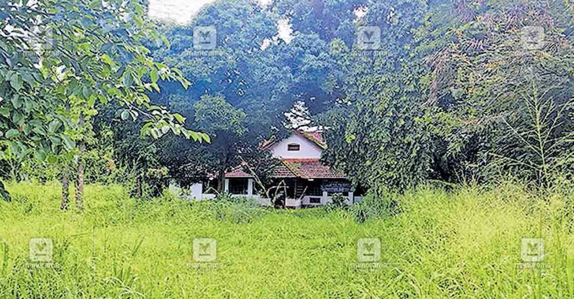 palakkad-college പാലക്കാട് വിക്ടോറിയ കോളജിന്റെ ഉടമസ്ഥതയിലുള്ള ഹെറിറ്റേജ് മ്യൂസിയത്തിന്റെ പരിസരം കാടുകയറിയ നിലയിൽ. ചിത്രം: മനോരമ