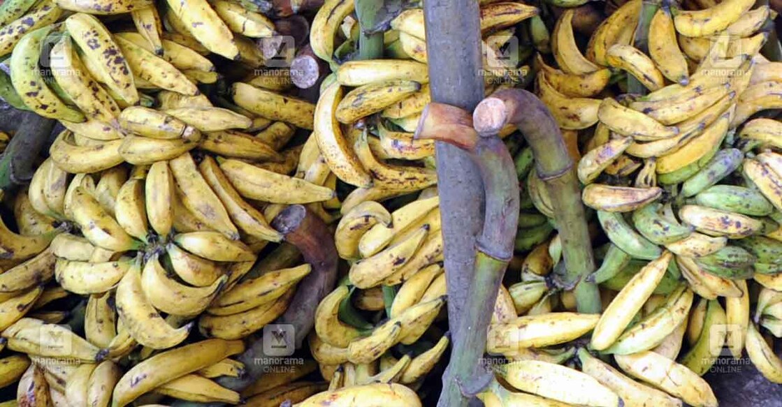 Banana Market | File Photo: Manorama File Photo: Manorama