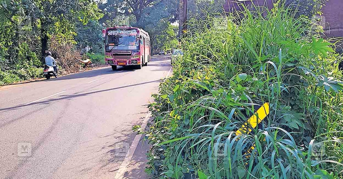സംസ്ഥാന പാതയിൽ പട്ടാമ്പി മുതൽ ചാലിശ്ശേരി വരെയുള്ള 15 കിലോമീറ്ററോളം ദൂരത്ത് പലയിടങ്ങളിലും റോഡിന്റെ വശം കാടുകയറി അപകടാവസ്ഥയിൽ. വാവന്നൂർ സെന്ററിന്റെ പടിഞ്ഞാറുഭാഗത്തെ ദൃശ്യം.  
