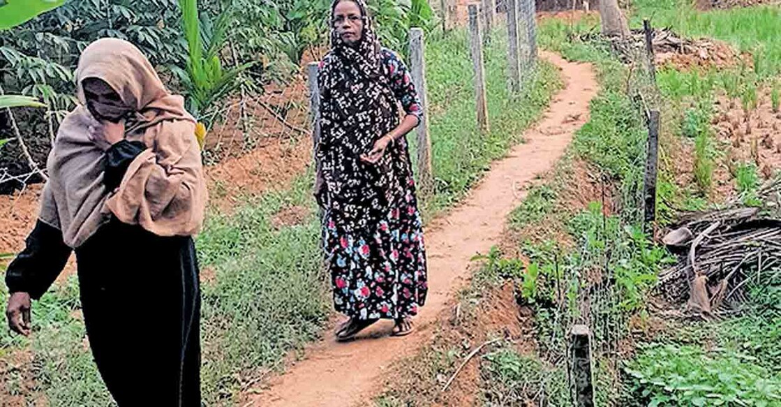 നെല്ലായ പഞ്ചായത്തിലെ കല്ലിടുമ്പ് കോഴിക്കുന്നത്ത് കുഴിപ്പുറം പ്രദേശത്തെ ആറു കുടുംബങ്ങൾ കാലങ്ങളായി നടക്കുന്ന പാടവരമ്പ്.  

