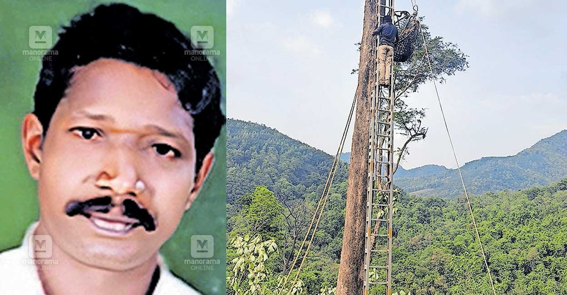 palakkad-tree-accident 1.ശിവൻ (കണ്ണൻ).
2.തേക്കിന്റെ കൊമ്പ് മുറിക്കുന്നതിനിടെ പരുക്കേറ്റ് മുകളിൽ കുടുങ്ങിയ ശിവനെ അഗ്നിരക്ഷാസേന താഴേക്ക് ഇറക്കുന്നു.