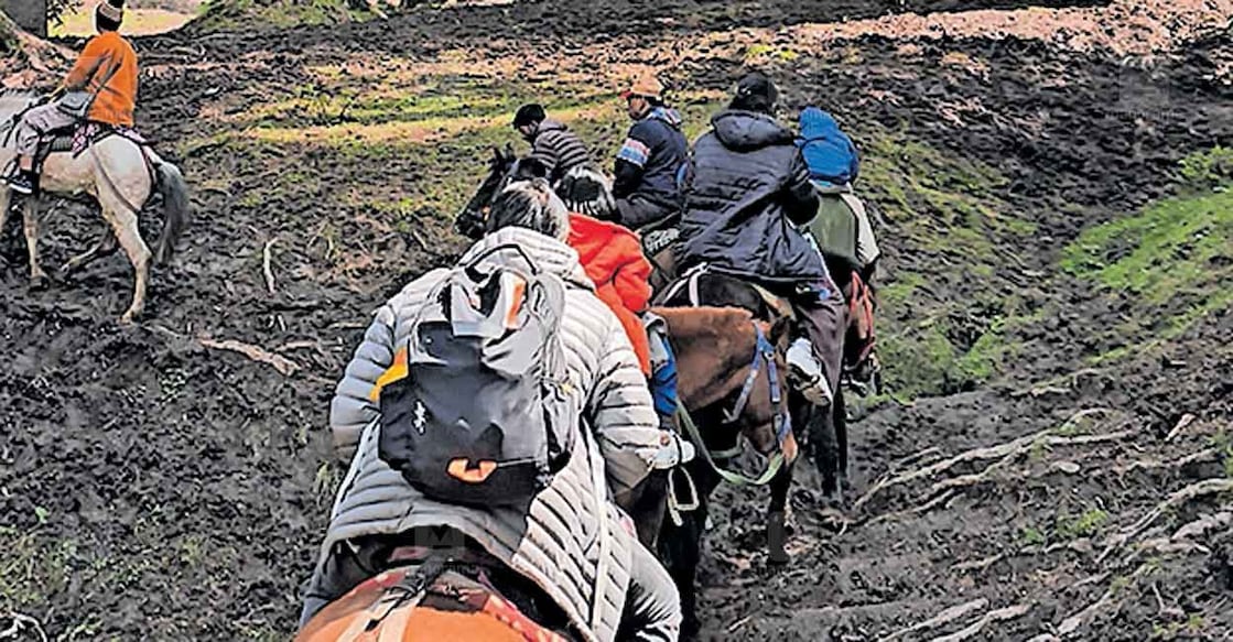 pahalgam-attack-couples-escape പഹൽഗാമിലെ ബൈസരൺ മലമുകളിലേക്ക് കുതിരപ്പുറത്തേറി പോകുന്ന വിനോദസഞ്ചാരികൾ. നെല്ലായ കൃഷ്ണപ്പടിയിലെ അഷറഫ് മലമുകളിലെത്തുന്നതിനു മുൻപ് എടുത്ത ചിത്രം.