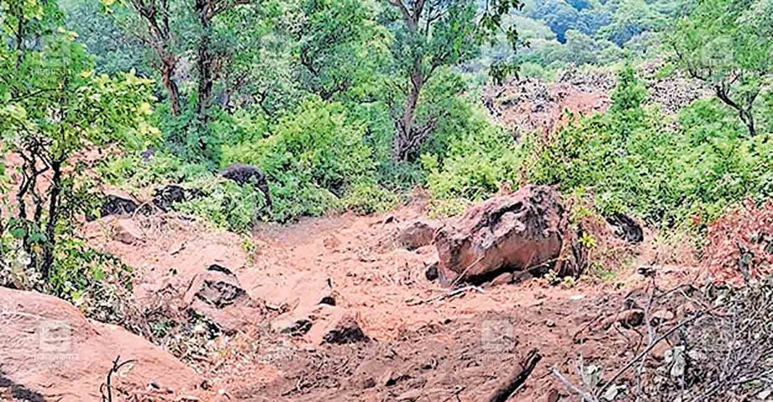 aanamula-forest-road ആനമൂളി വനത്തിൽ റോഡ് നിർമിക്കാനായി ചോലകൾ നികത്തിയ നിലയിൽ.
