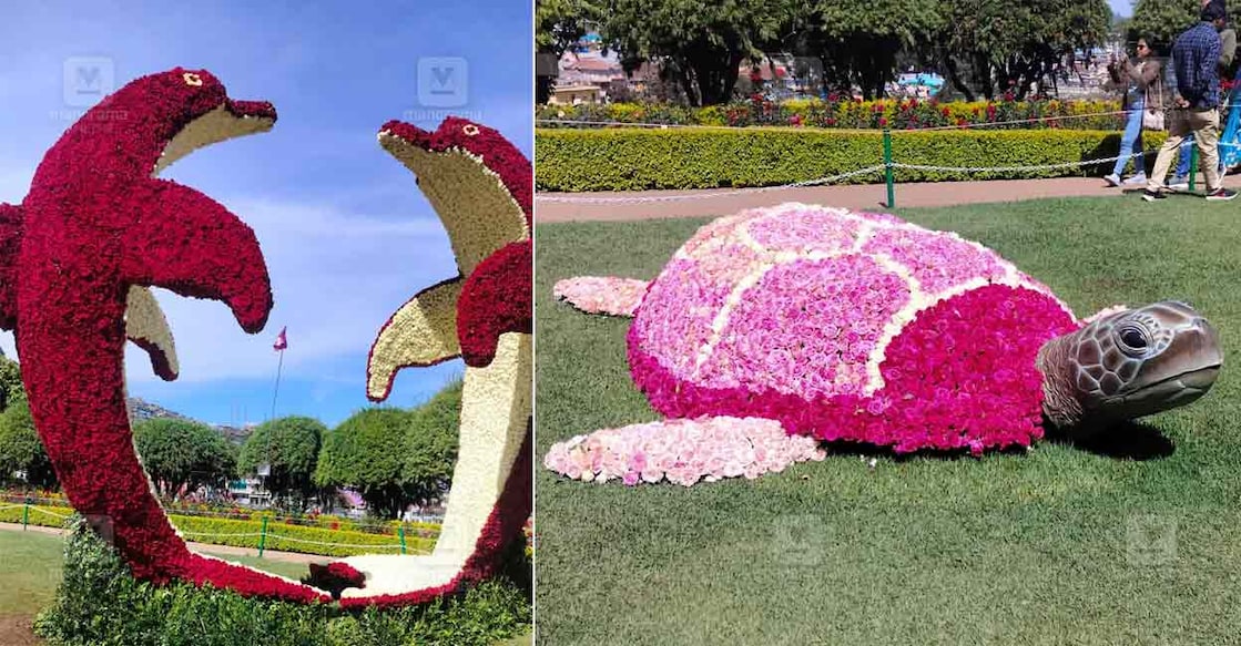 ooty-rose-garden ooty-rose-garden