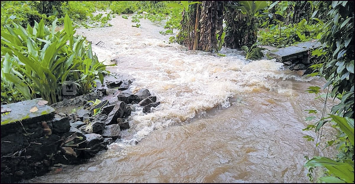 pathanamthitta-anicad-water pathanamthitta-anicad-water