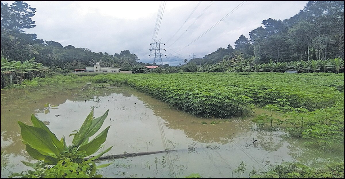 pathanamthitta-water pathanamthitta-water