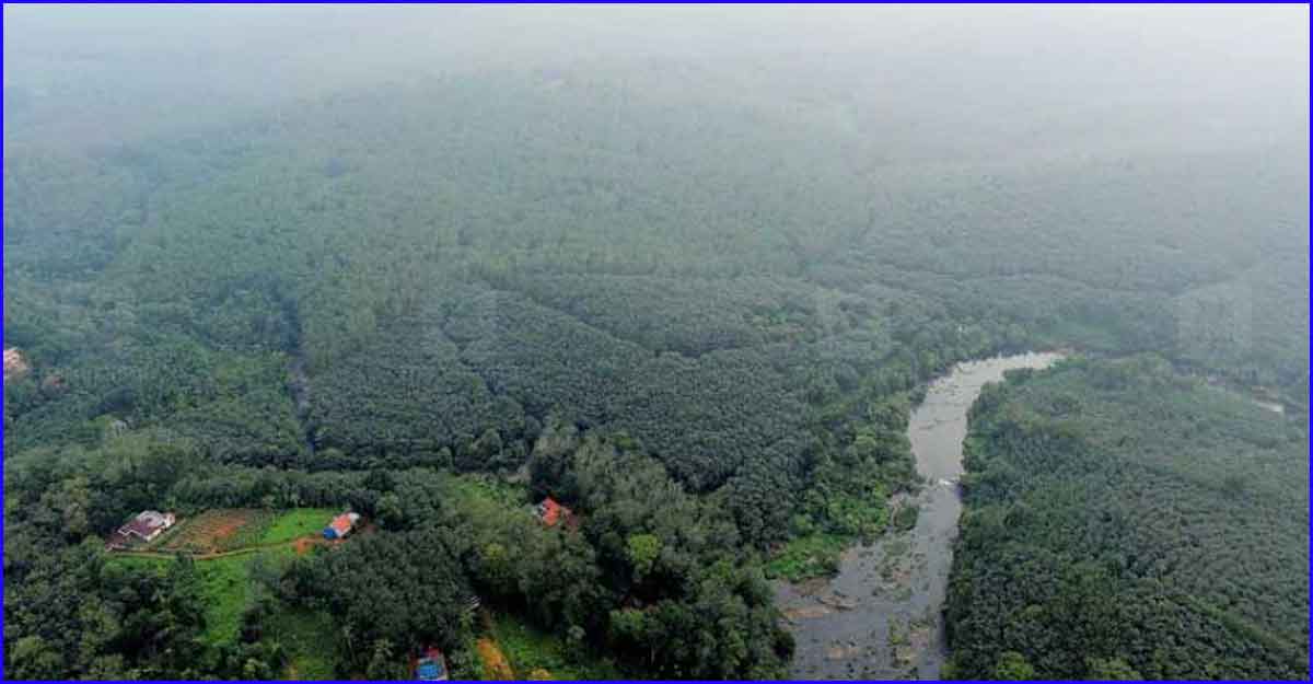 ബഫർ സോൺ എന്ന ആശങ്ക Buffer Zone Wayanad Manorama Online