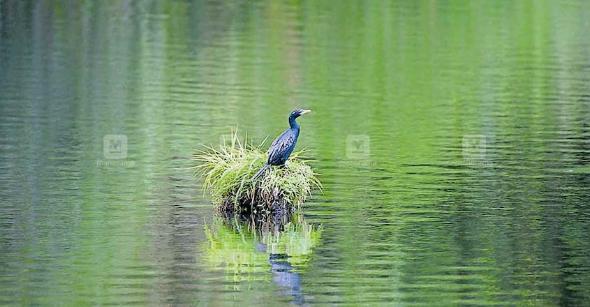 pathanamthitta-gavi-river pathanamthitta-gavi-river