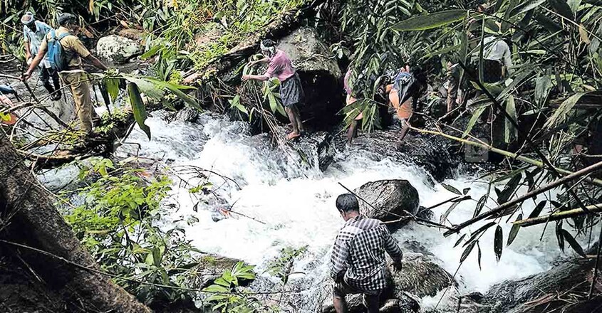 കാട്ടാനയെ തേടി ഇറങ്ങിയ സംഘം ആറാട്ടുകുടുക്ക തോട് മുറിച്ച് കടക്കുന്നു. ചിത്രം: മനോരമ. കാട്ടാനയെ തേടി ഇറങ്ങിയ സംഘം ആറാട്ടുകുടുക്ക തോട് മുറിച്ച് കടക്കുന്നു. ചിത്രം: മനോരമ.
