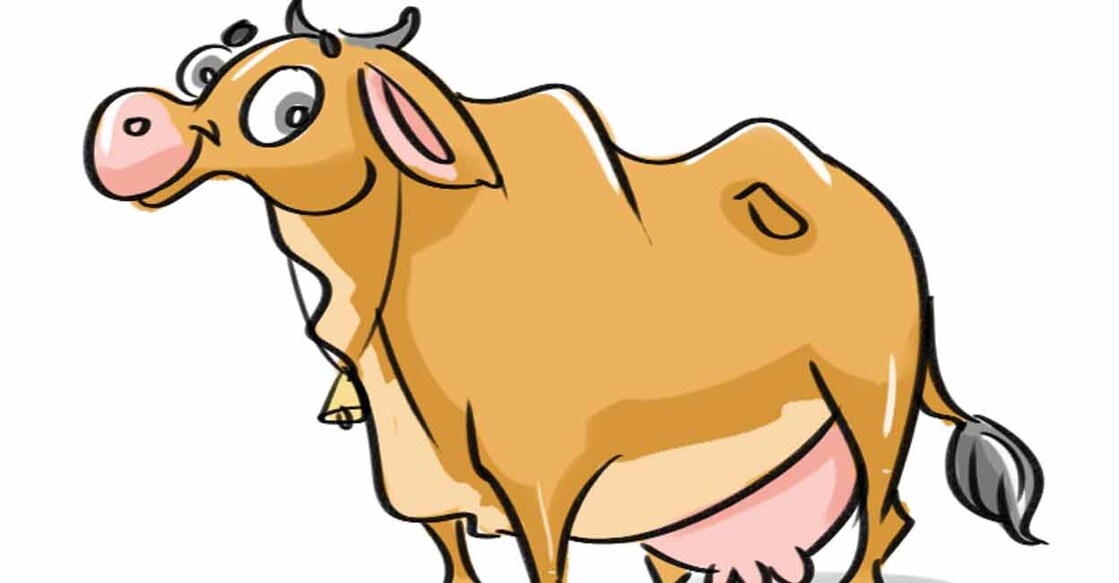 pathanamthitta-perumbetty-cattle-disease-spreading pathanamthitta-perumbetty-cattle-disease-spreading