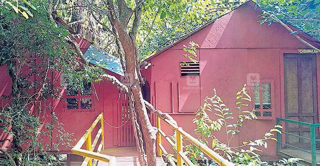 തണ്ണിത്തോട് അടവി ഇക്കോ ടൂറിസം പദ്ധതിയുടെ പേരുവാലിയിലെ അറ്റകുറ്റപ്പണി നടത്താത്ത മുളങ്കുടിലുകൾ