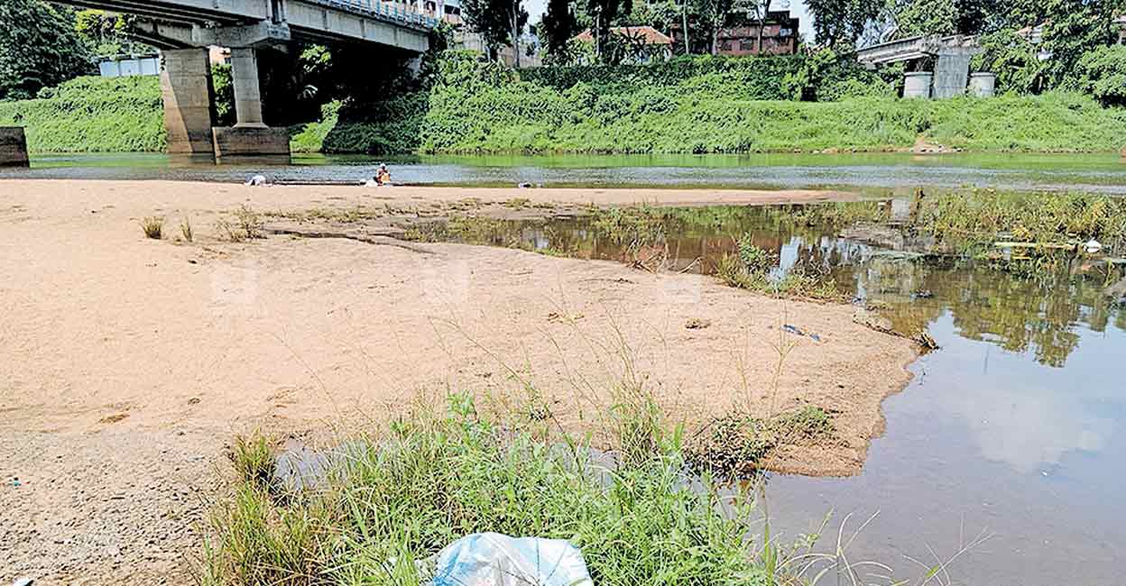 ചെളിയും കാടും നിറഞ്ഞ് പള്ളിയോടക്കടവ്