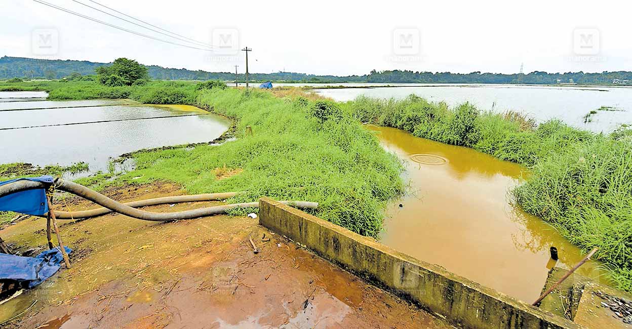 നേരത്തേ വിത്തു വിതച്ചു; നേരംതെറ്റിയ മഴ ചതിച്ചു | Kerala Floods ...