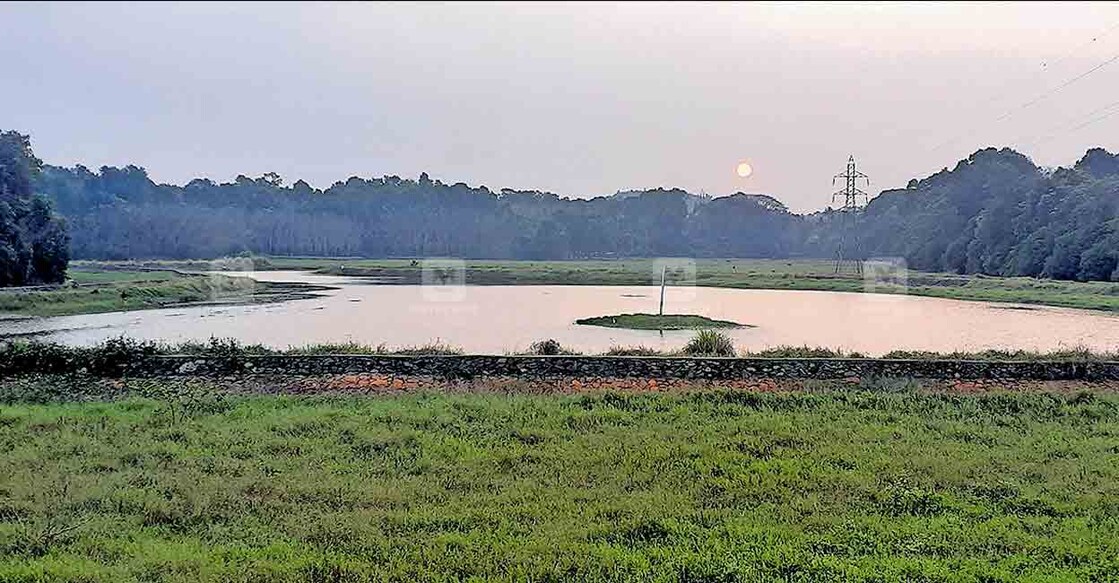 ലോകബാങ്ക് സഹായത്തോടെ ഒന്നര വർഷം മുൻപ് പുനരുജ്ജീവന പദ്ധതി നടപ്പാക്കിയ കുളനട മാന്തുകയിലെ കുപ്പണ്ണൂർ ചാൽ.  