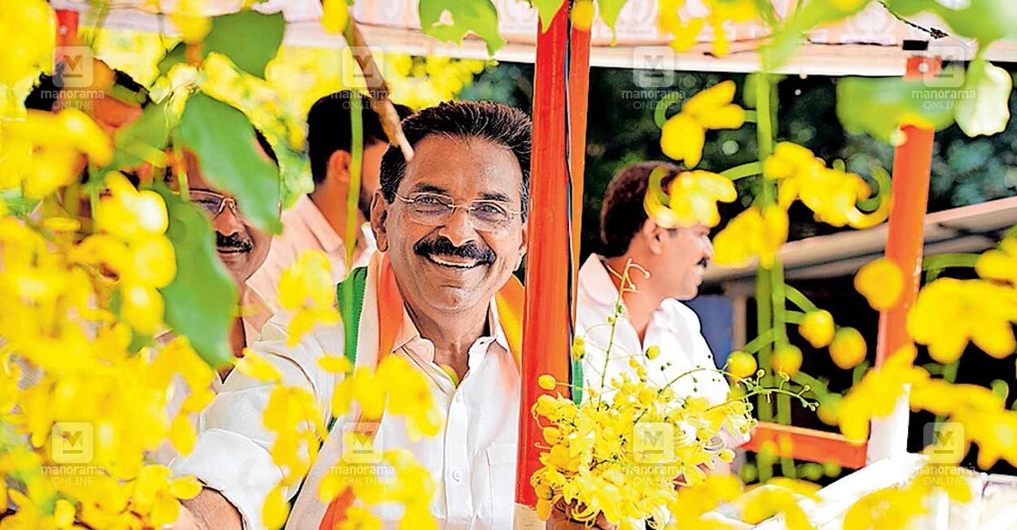 തണ്ണിത്തോട്ടിൽ പര്യടനത്തിനിടെ കൊന്നമരത്തിൽനിന്നു കണിക്കൊന്ന പൂക്കൾ പറിക്കുന്ന ആന്റോ ആന്റണി. 