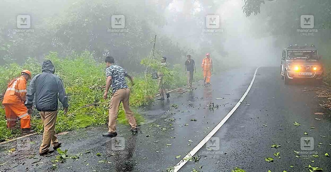 ശബരിമല തീർഥാടന പാതയിൽ ളാഹയ്ക്കും പ്ലാപ്പള്ളിക്കും മധ്യേ ചെളിക്കുഴിയിൽ റോഡിലേക്കു വീണ വൃക്ഷം രാജാമ്പാറ ഫോറസ്റ്റ് സ്റ്റേഷനിലെ വനപാലകകരും സീതത്തോട്  അഗ്നിരക്ഷാ സേന യൂണിറ്റിലെ പ്രവർത്തകരും കൂടി നീക്കം ചെയ്യുന്നു. കനത്ത മൂടൽ മഞ്ഞ് കാരണം ഈ റൂട്ട് വഴിയുള്ള യാത്ര ഏറെ ദുഷ്കരമാണ്. ഒന്നര മണിക്കൂറോളം ഗതാഗതം മുടങ്ങി. 
