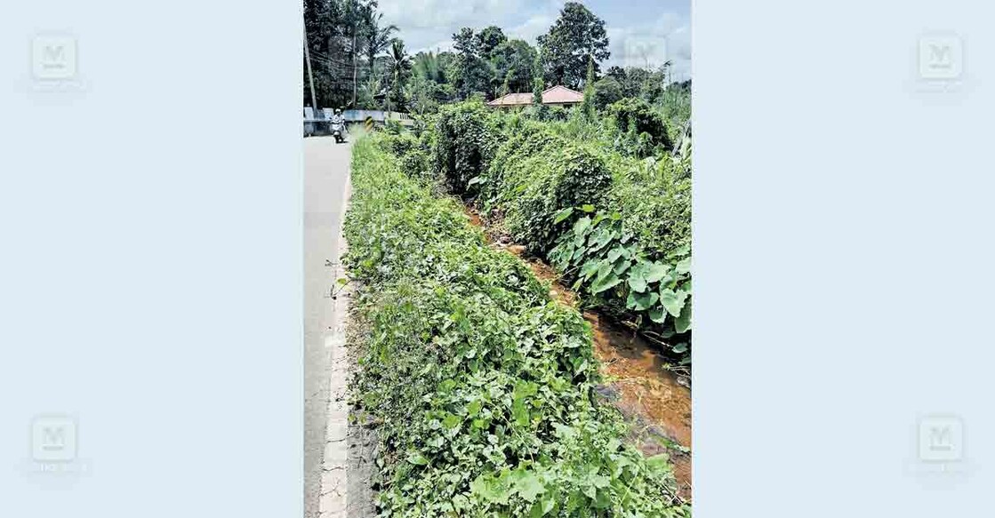 റാന്നി–വെണ്ണിക്കുളം റോഡിൽ അപകട ഭീഷണി നേരിടുന്ന തേക്കാട്ടിൽ പടി ഭാഗം.  
