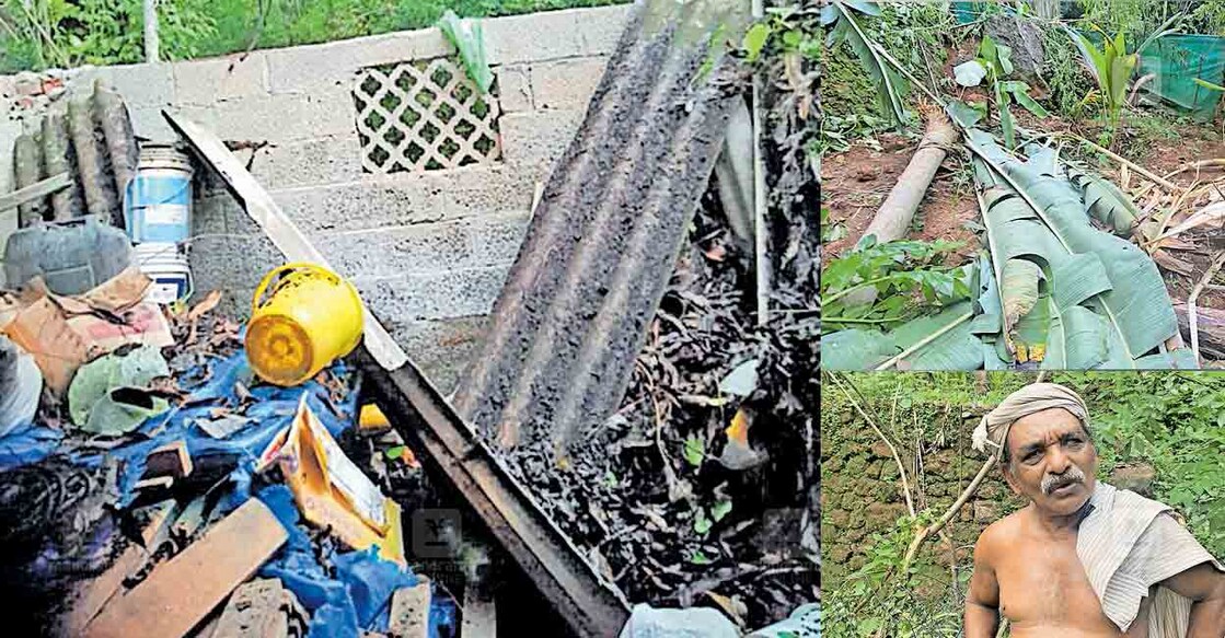 1.താവളപ്പാറ പെരിഞൊട്ടയ്ക്കൽ മുളയ്ക്കൽ ഇല്ലം ജ്യോതിഷ് കുമാറിന്റെ വീടിനോടു ചേർന്നുള്ള ഷെഡ് കാട്ടാന തകർത്ത നിലയിൽ.  
2.ഏബ്രഹാം മാത്യു  
3.അള്ളുങ്കൽ തൈക്കൂട്ടത്തിൽ ഏബ്രഹാം മാത്യുവിന്റെ വീടിനു സമീപം കാട്ടാന കൃഷി നശിപ്പിച്ച നിലയിൽ. 
