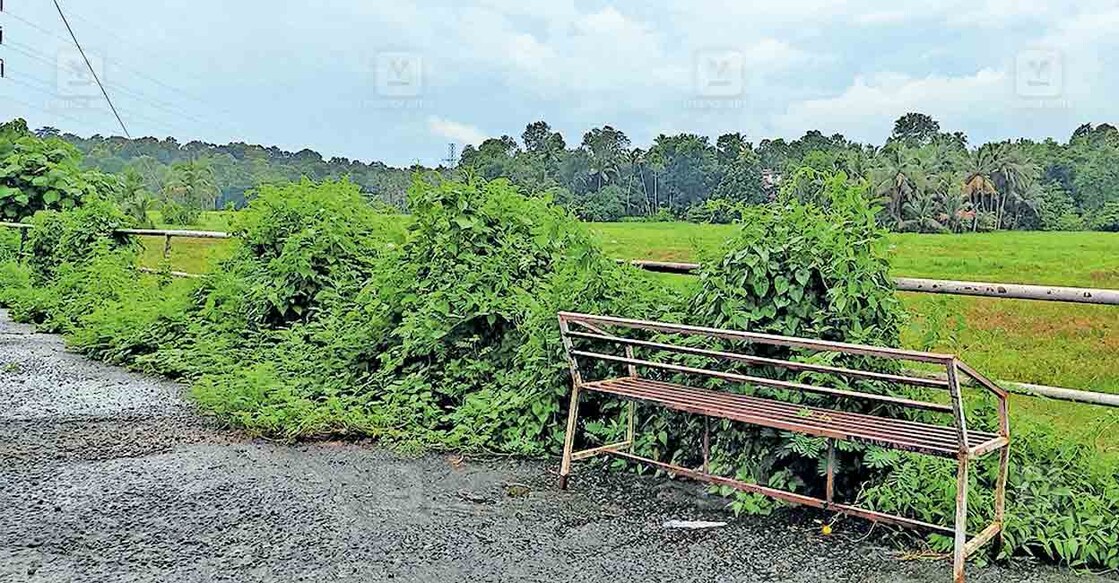 കോഴഞ്ചേരി പഞ്ചായത്തിലെ സ്തുതികാട്ട് പടി -കൊല്ലിരേത്തുപടി വയലോരത്തുള്ള (നാലുമണിക്കാറ്റ്) വഴിയോര വിശ്രമകേന്ദ്രം.  
