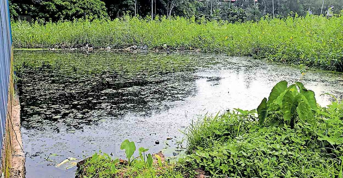 പത്തനംതിട്ട നഗരസഭയിലെ കുമ്പഴ മാർക്കറ്റിന് 
എതിർവശത്തുള്ള കുഴിയിൽ വെള്ളം കെട്ടിക്കിടന്ന് കൊതുക് 
വളർത്തൽ കേന്ദ്രമായി മാറിയ നിലയിൽ. 