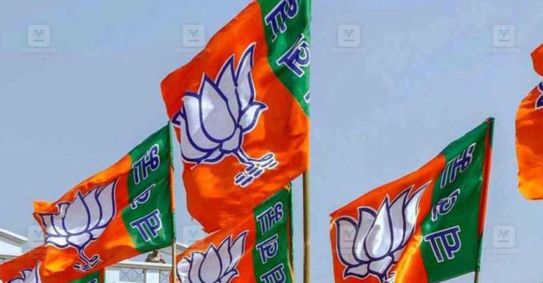 bjp-flag