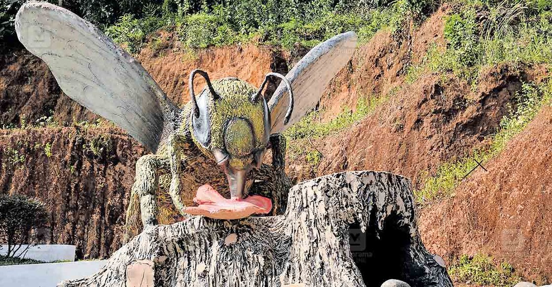 ചിറ്റാറിലെത്തിയാൽ തേനൂറും വിവരങ്ങളറിയാം; നിലയ്ക്കൽ ബീ ഗാർഡൻ ഡിസ്കവറി ...