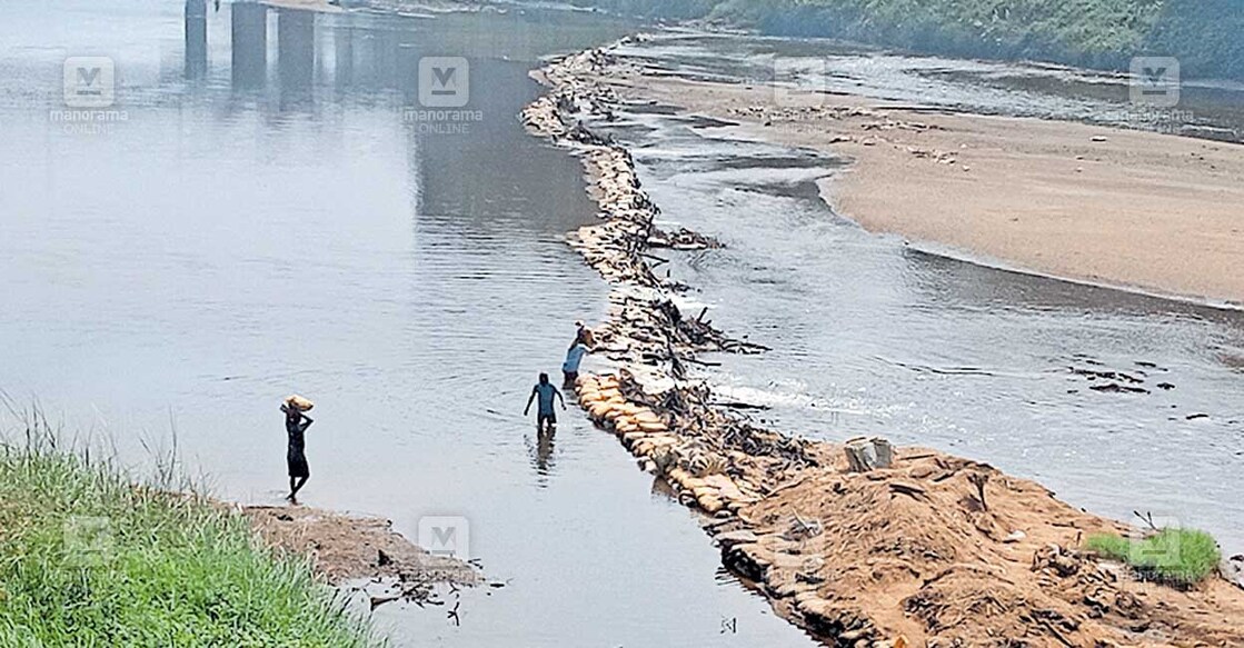 അങ്ങാടി ജല വിതരണ പദ്ധതിക്കു വെള്ളം ലഭ്യമാക്കാനായി പമ്പാനദിയിലെ പുളിമുക്ക് കടവിൽ നിർമിച്ച തടയണ.  