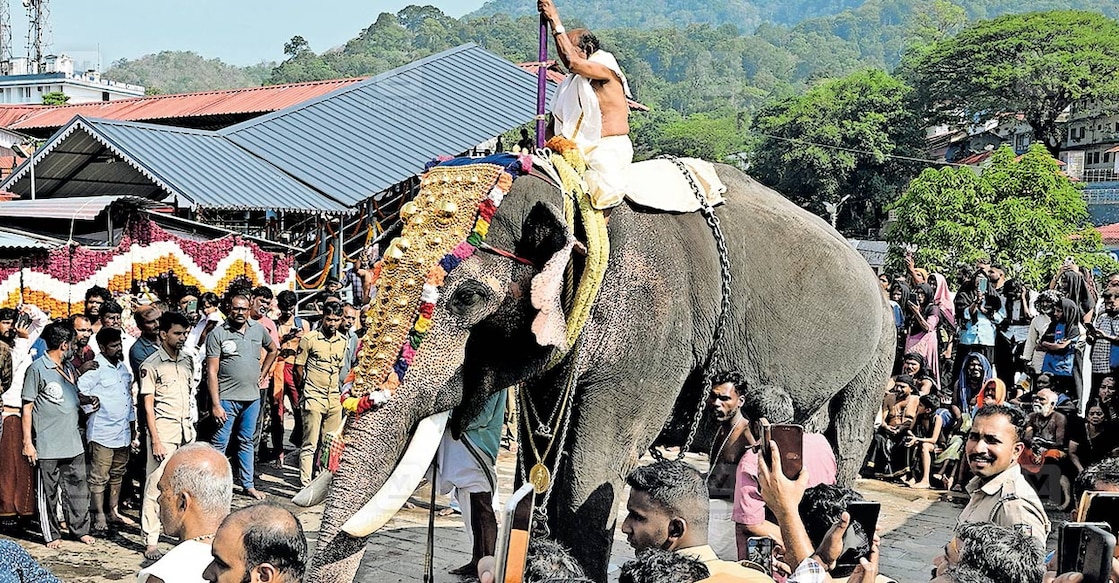 sabarimala-temple-festival-elephant ആചാര പൊലിമയിൽ അയ്യപ്പ സ്വാമിയുടെ തിടമ്പേറ്റിയ വെളിനല്ലൂർ മണികണ്ഠൻ ആന സന്നിധാനത്ത്. ചിത്രം: മനോരമ