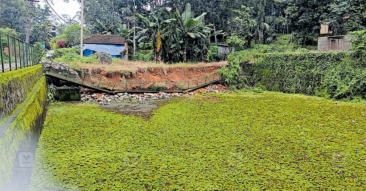 കുളത്തിന്റെ സംരക്ഷണ ഭിത്തി തകർന്നു | Kadampanad | Thumbarakuzhy Pond ...