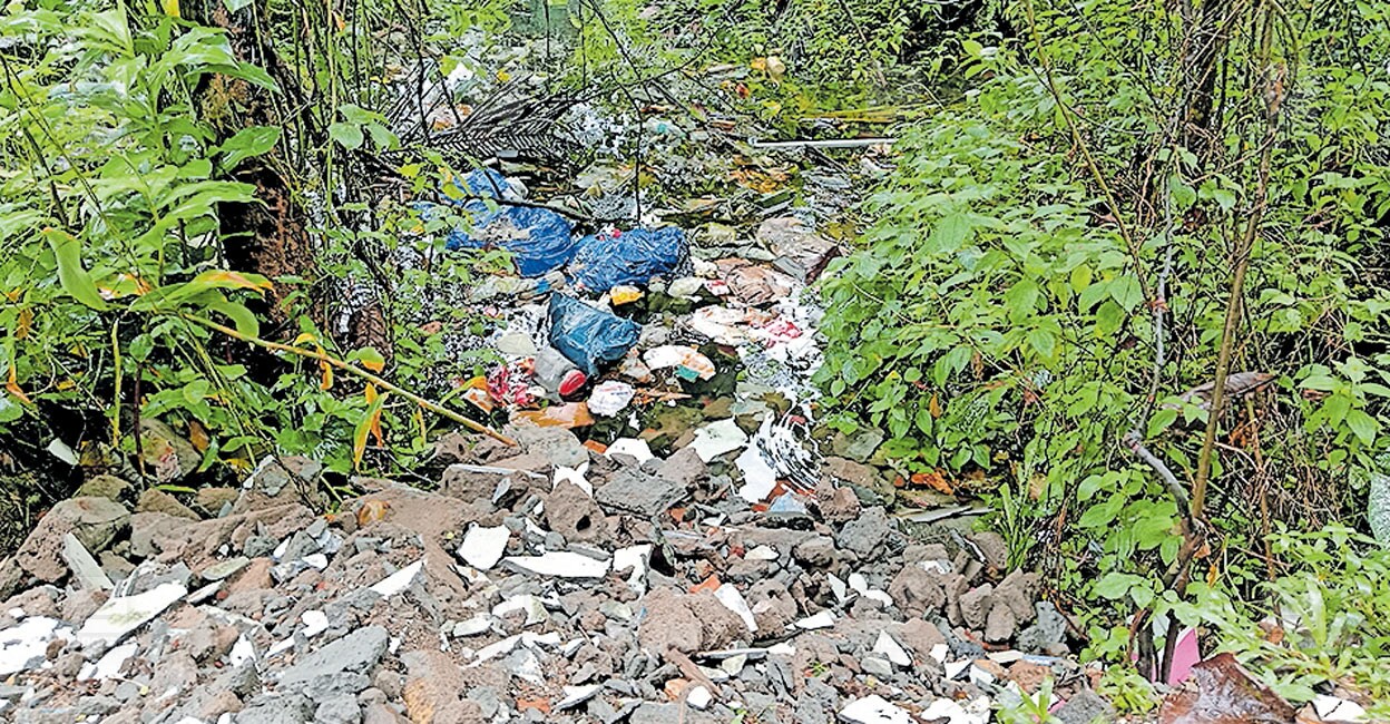 നവകേരള മാലിന്യ മുക്ത ക്യാംപെയ്ൻ നടത്തിയിട്ടും നീർച്ചാലുകളിൽ നിറയുന്നത് ...