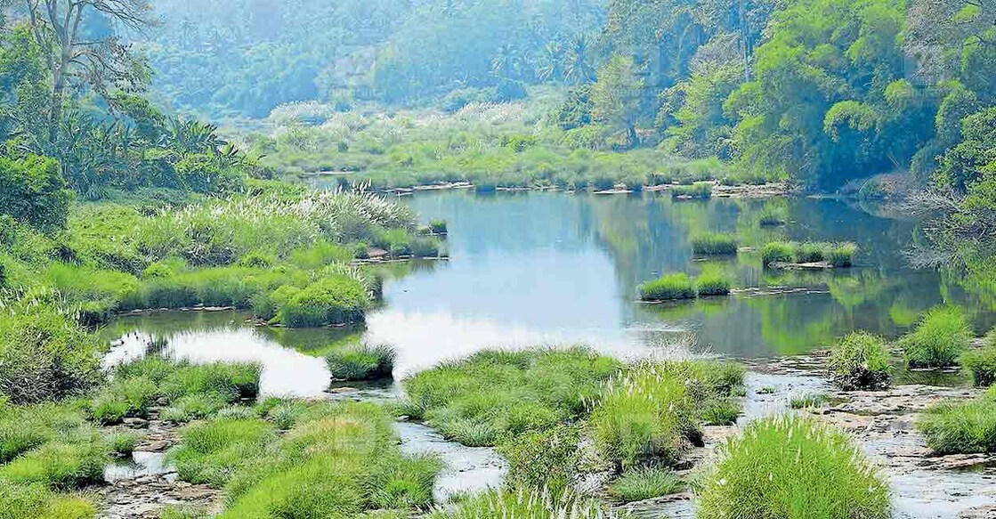 മണൽപുറ്റുകൾ പമ്പാനദിക്കു ഭീഷണി; നദീ സംരക്ഷണത്തിനു പദ്ധതികളില്ല: മറ്റൊരു ...