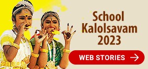 Web story