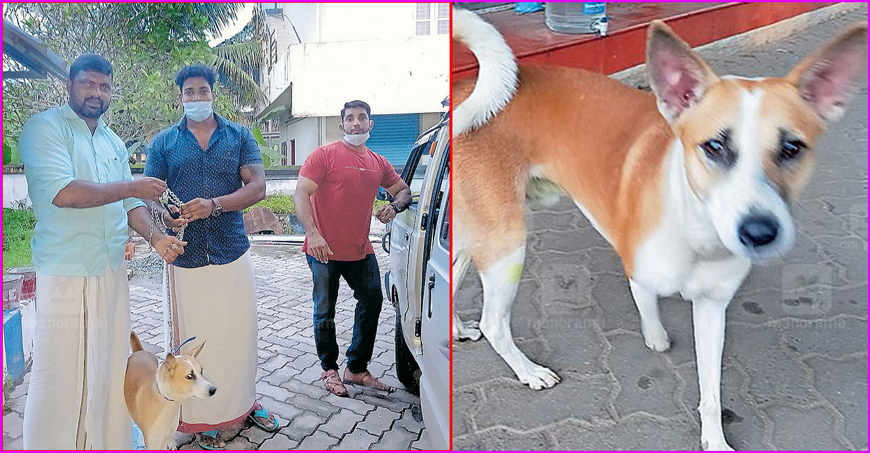 ‘മാസ്റ്റർ’ എത്തിയില്ല, നായയുടെ സംരക്ഷണം ഏറ്റെടുത്ത് വിനീത്; വാഹനത്തി