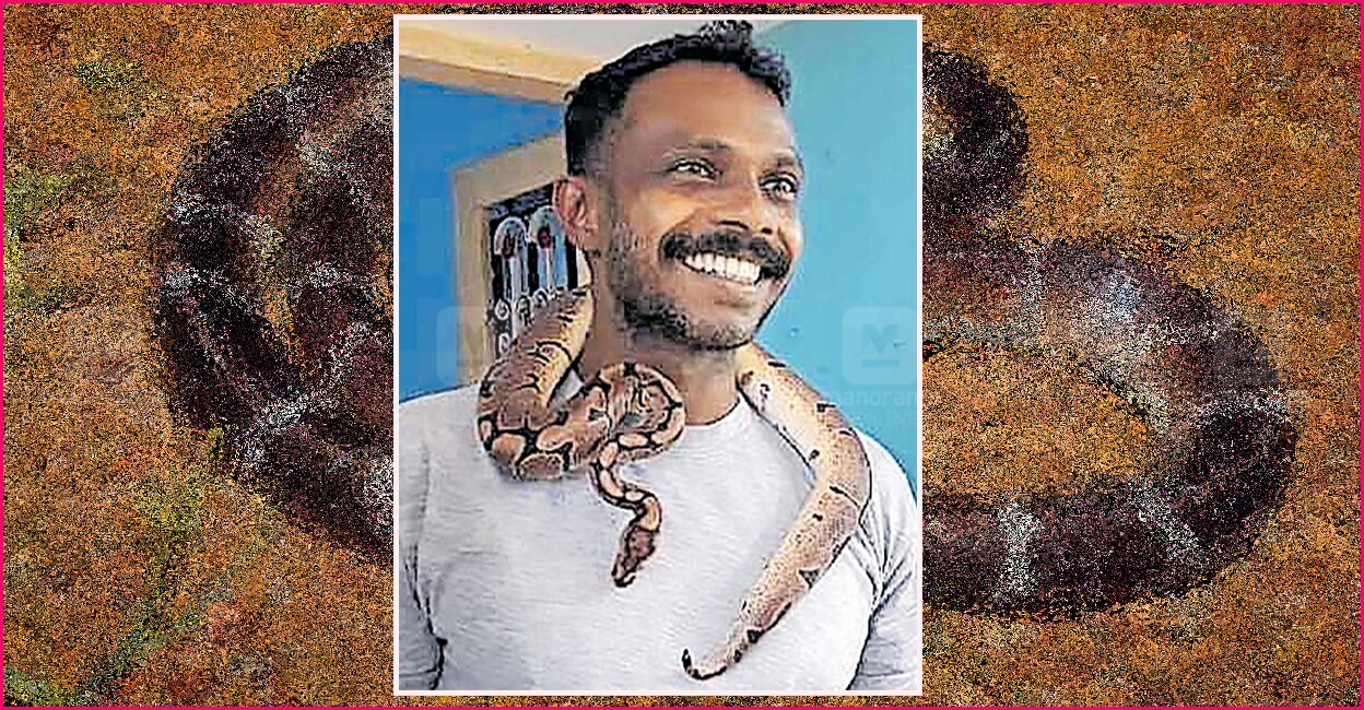 മൂന്ന് വയസ്സും രണ്ട് കിലോയോളം ഭാരവും,‘ചെറിയൊരു’ പെരുമ്പാമ്പാണ്; വളർത്താ