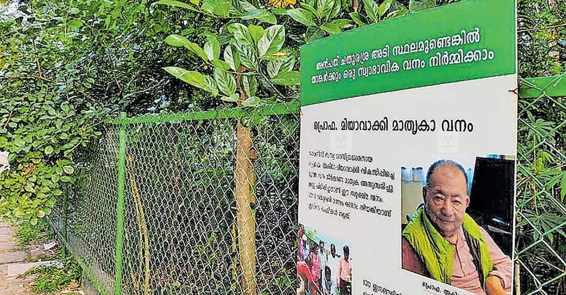 കനകക്കുന്നിലെ സൂര്യകാന്തിയിൽ ഒരുക്കിയ മിയാവാക്കി വനം.