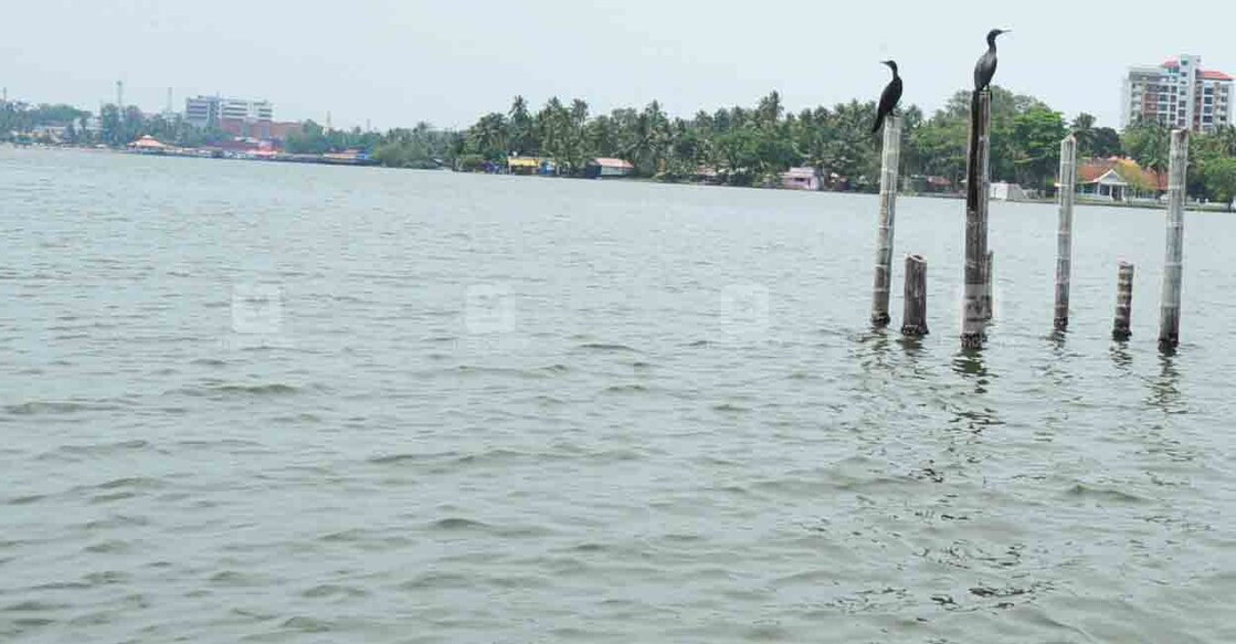 ashtamudi-lake ashtamudi-lake