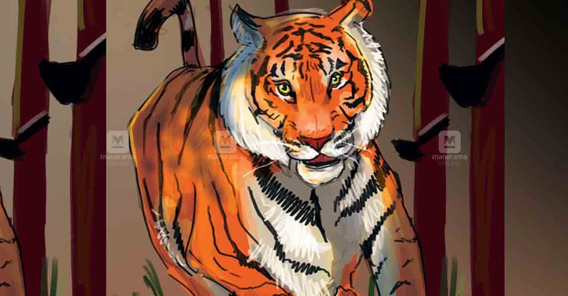local-tiger local-tiger