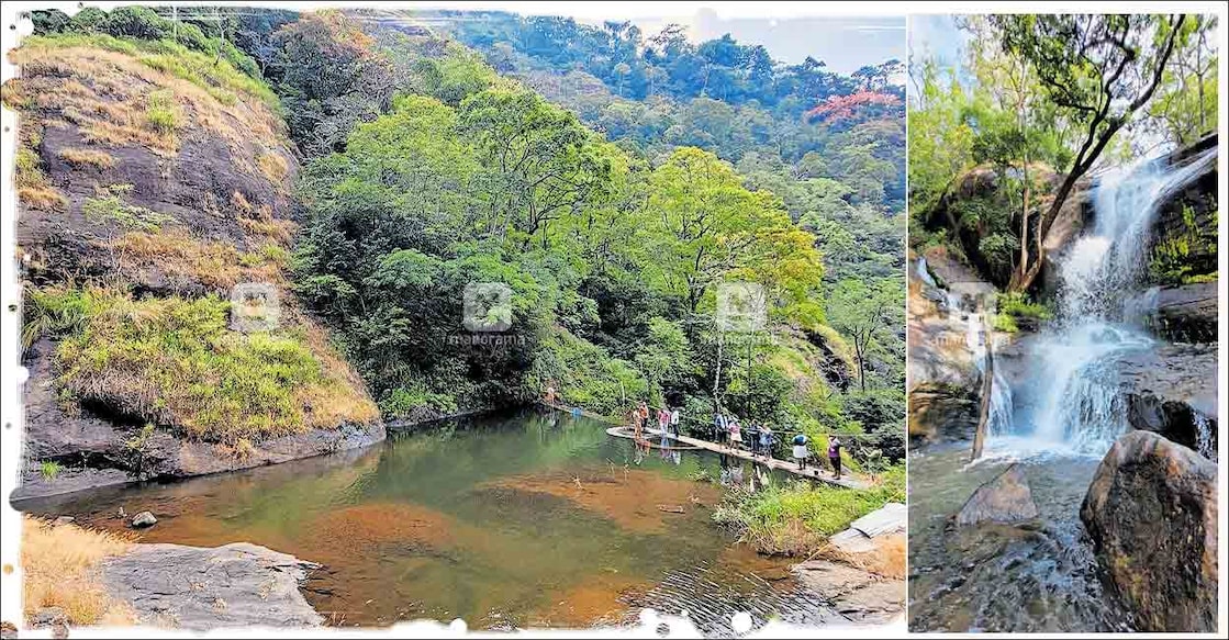 pta-kannar-thadayana-pathanamthitta pta-kannar-thadayana-pathanamthitta