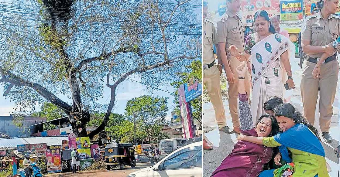 1. നെടുമങ്ങാട് കച്ചേരി ജംക്‌ഷനിൽ ഉള്ള മുത്തശ്ശി ആൽമരത്തിന്റെ ഇടതൂർന്ന് നിന്ന വൻ ശിഖരങ്ങളിൽ ചിലത് നവകേരള സദസ്സിന്റെ ആവശ്യത്തിനായി മുറിച്ച് മാറ്റിയ നിലയിൽ, 2.  നെടുമങ്ങാട് കച്ചേരി ജംക്‌ഷനിൽ ഉള്ള ആൽ മരത്തിന്റെ ശിഖരങ്ങൾ മുഖ്യ മന്ത്രിയുടെ നവകേരള യാത്രയുടെ ഭാഗമായി മുറിച്ചുമാറ്റിയതിൽ പ്രതിഷേധിച്ച് ബിജെപിയുടെ നേതൃത്വത്തിൽ നടന്ന ഉപരോധത്തിൽ വനിതാ പ്രവർത്തകരെ പൊലീസ് അറസ്റ്റ് ചെയ്ത് നീക്കാൻ ശ്രമിക്കുമ്പോൾ, പരസ്പരം കെട്ടിപ്പിടിച്ച് പ്രതിരോധിക്കുന്നു.