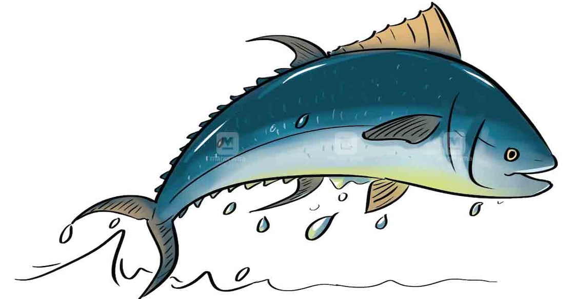 thiruvananthapuram-fish