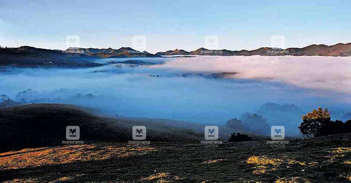 pkd-weather-ooty pkd-weather-ooty
