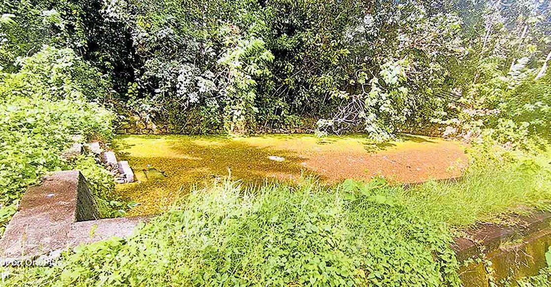 ns7-chirayinkeezhu-water അഴൂർ ഗ്രാമപഞ്ചായത്തിലെ ഗാന്ധീസ്മാരകം വാർഡിൽ മാലിന്യങ്ങൾ നിറഞ്ഞു ഉപയോഗശൂന്യമായിക്കിടക്കുന്ന മാതശ്ശേരിക്കോണം ചിറ.