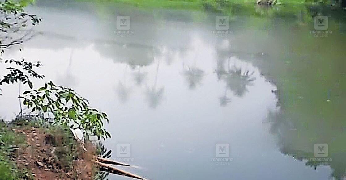 അവനവഞ്ചേരി ആറാട്ടുകടവ് ഭാഗത്തെ   പമ്പ് ഹൗസുകൾക്ക് സമീപം  വാമനപുരം നദിയിലെ വെള്ളത്തിൽ മാലിന്യം കലർന്ന നിലയിൽ.  
