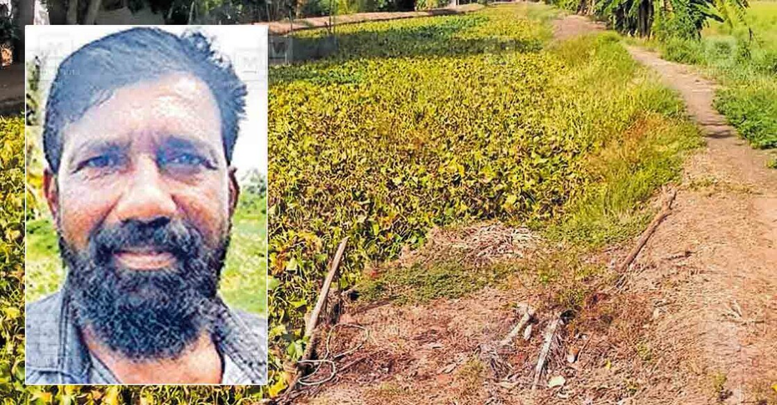 alp-road-issue-death alp-road-issue-death