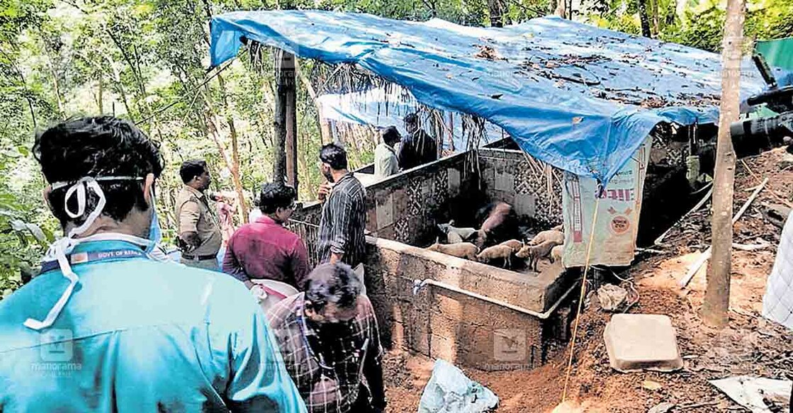 കരിയംകോട് പന്നിഫാമുകൾ പൂട്ടിക്കാൻ ഉദ്യോഗസ്ഥരെത്തിയപ്പോൾ.  
