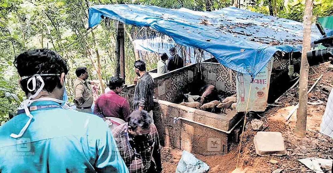 കരിയംകോട് പന്നിഫാമുകൾ പൂട്ടിക്കാൻ ഉദ്യോഗസ്ഥരെത്തിയപ്പോൾ.