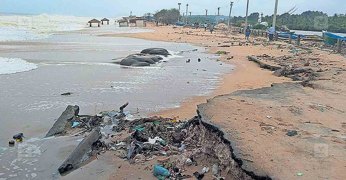 തിരയടിയിൽ തകർന്ന പരുത്തിയൂർ–പെ‍ാഴിക്കര റോഡ്.  